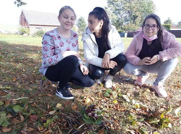 Stavby z přírodnin