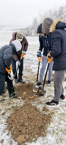 Sázení stromů (1., 5. a 9. třída)