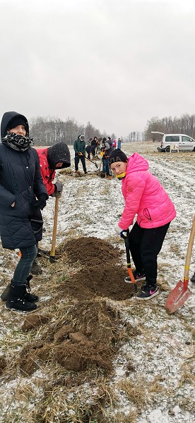 Sázení stromů (1., 5. a 9. třída)