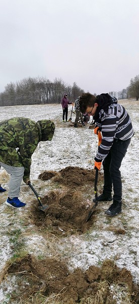 Sázení stromů (1., 5. a 9. třída)