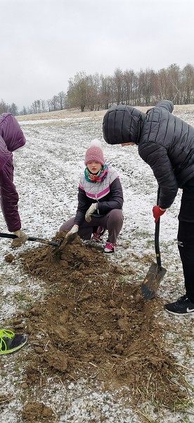Sázení stromů (1., 5. a 9. třída)