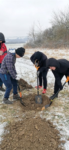 Sázení stromů (1., 5. a 9. třída)