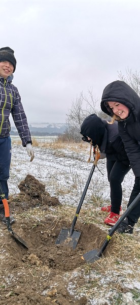 Sázení stromů (1., 5. a 9. třída)