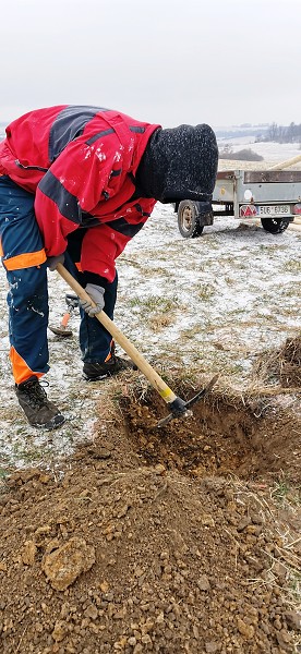 Sázení stromů (1., 5. a 9. třída)