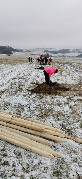 Sázení stromů (1., 5. a 9. třída)