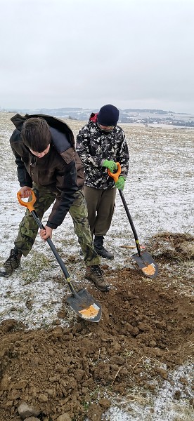 Sázení stromů (1., 5. a 9. třída)