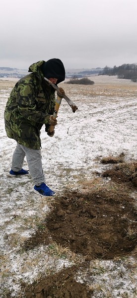 Sázení stromů (1., 5. a 9. třída)