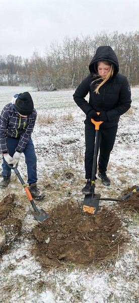Sázení stromů (1., 5. a 9. třída)