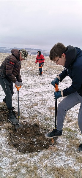 Sázení stromů (1., 5. a 9. třída)