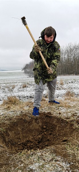 Sázení stromů (1., 5. a 9. třída)