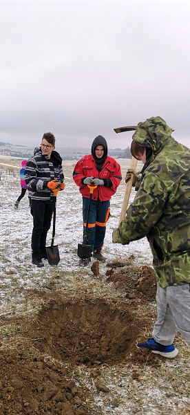 Sázení stromů (1., 5. a 9. třída)