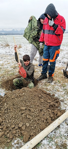 Sázení stromů (1., 5. a 9. třída)