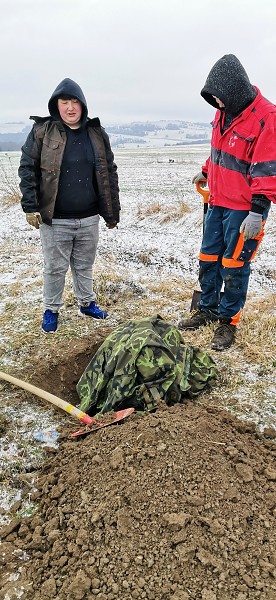 Sázení stromů (1., 5. a 9. třída)