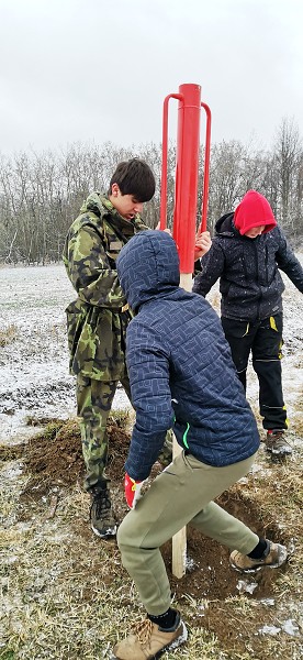 Sázení stromů (1., 5. a 9. třída)