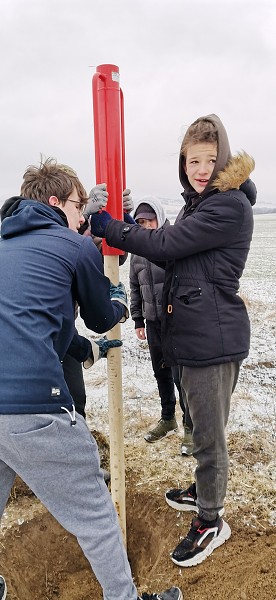 Sázení stromů (1., 5. a 9. třída)