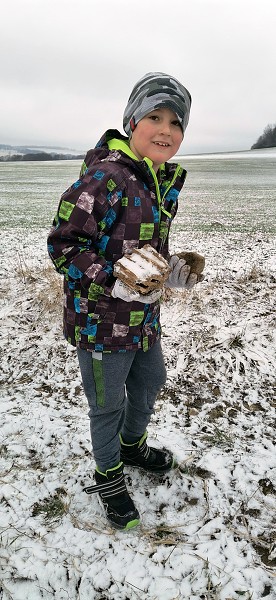 Sázení stromů (1., 5. a 9. třída)