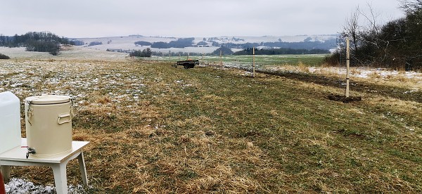 Sázení stromů (1., 5. a 9. třída)