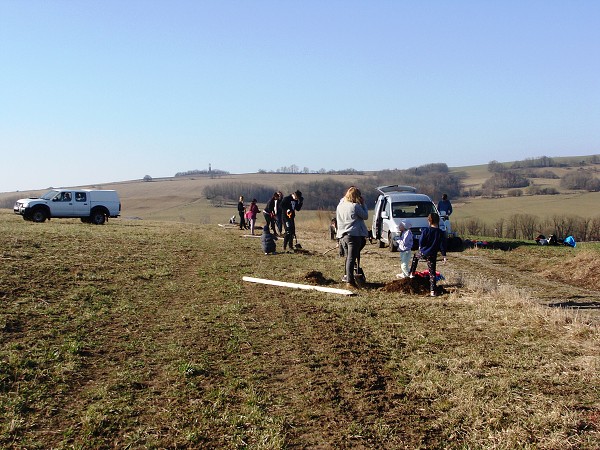 Sázení stromů (2. a 8. třída)