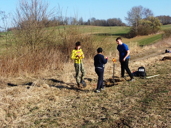 Sázení stromů (2. a 8. třída)