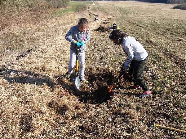 Sázení stromů (2. a 8. třída)