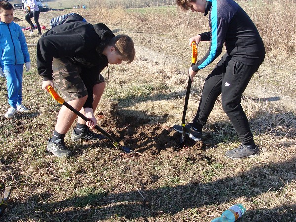Sázení stromů (2. a 8. třída)