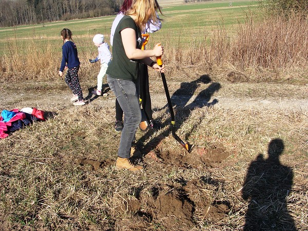 Sázení stromů (2. a 8. třída)