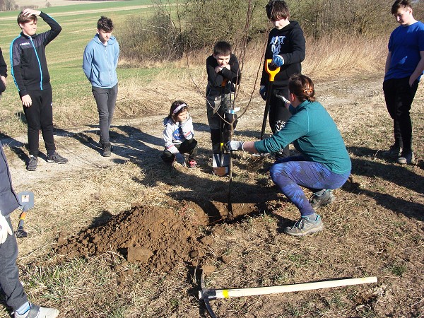 Sázení stromů (2. a 8. třída)