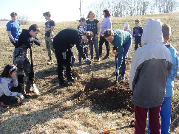 Sázení stromů (2. a 8. třída)