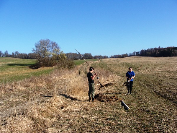 Sázení stromů (2. a 8. třída)