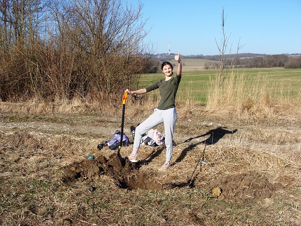 Sázení stromů (2. a 8. třída)