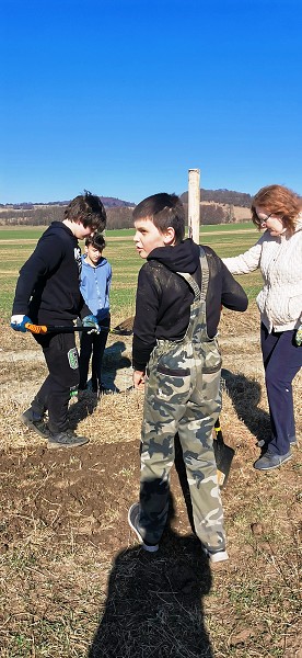 Sázení stromů (2. a 8. třída)