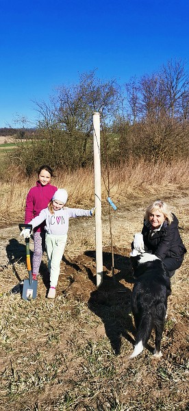 Sázení stromů (2. a 8. třída)