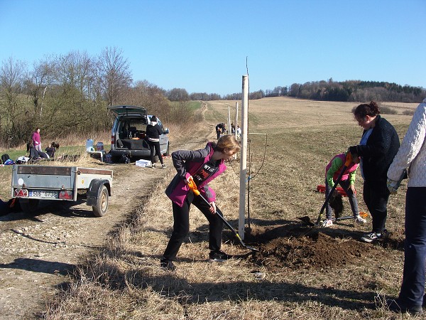Sázení stromů (2. a 8. třída)