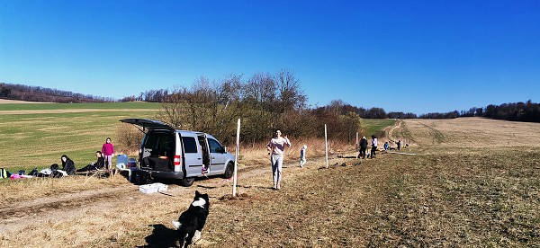 Sázení stromů (2. a 8. třída)