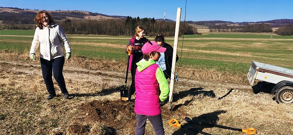 Sázení stromů (2. a 8. třída)