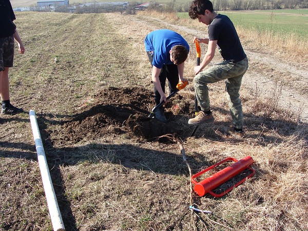 Sázení stromů (2. a 8. třída)