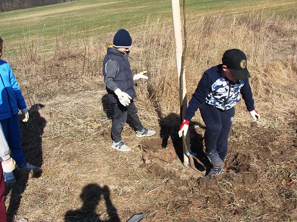 Sázení stromů (2. a 8. třída)