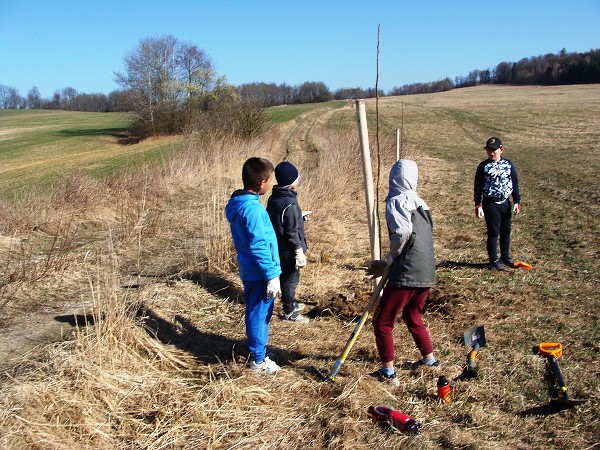 Sázení stromů (2. a 8. třída)