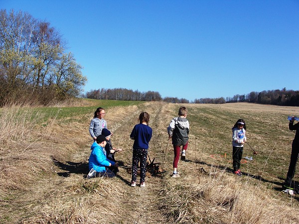 Sázení stromů (2. a 8. třída)