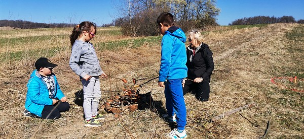 Sázení stromů (2. a 8. třída)