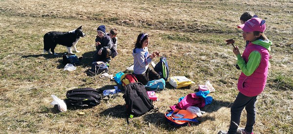 Sázení stromů (2. a 8. třída)