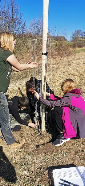 Sázení stromů (2. a 8. třída)