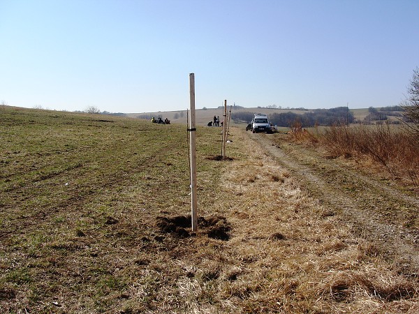 Sázení stromů (2. a 8. třída)