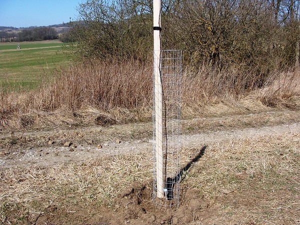 Sázení stromů (2. a 8. třída)