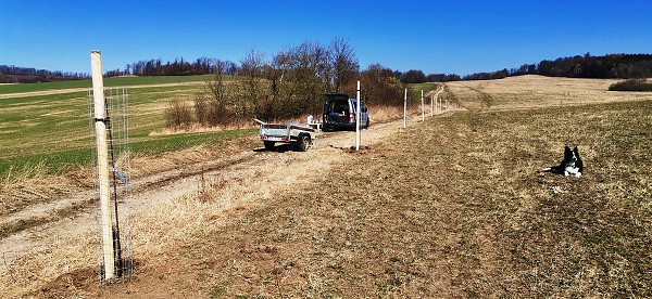 Sázení stromů (2. a 8. třída)