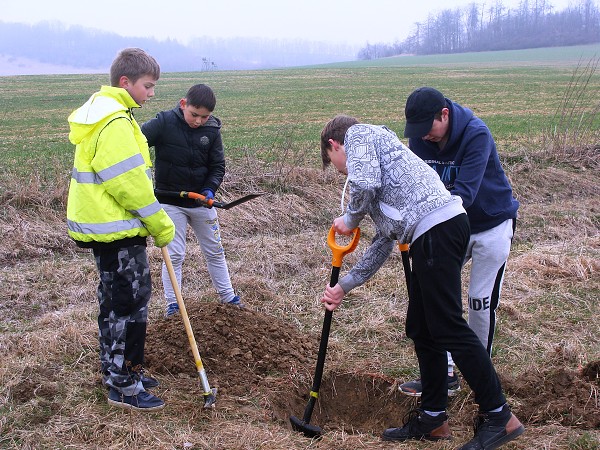 Sázení stromů (3. a 7. třída)