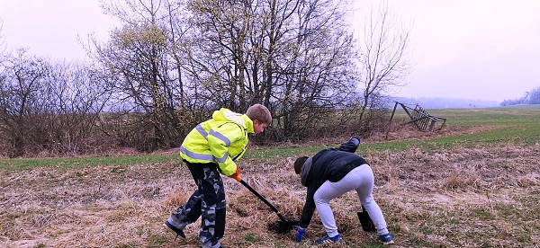 Sázení stromů (3. a 7. třída)