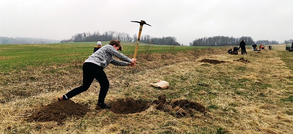 Sázení stromů (3. a 7. třída)