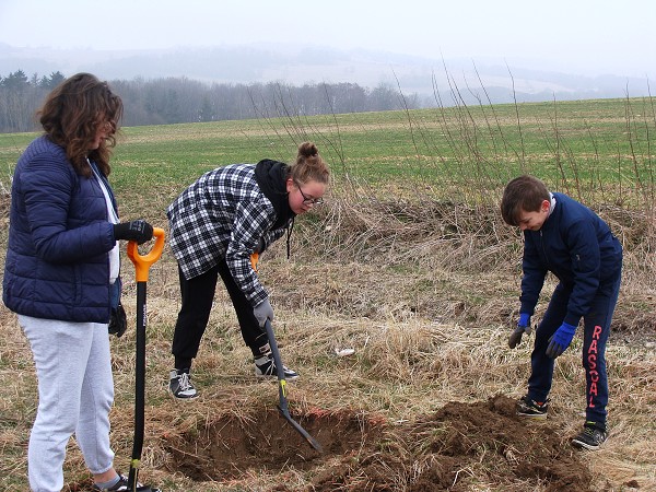 Sázení stromů (3. a 7. třída)