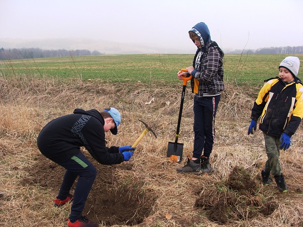 Sázení stromů (3. a 7. třída)